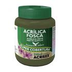 Tinta Acrílica Fosca 250ml Verde Oliva 545 Acrilex - ACRILEX - ARTISTICO