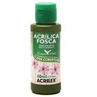 Tinta Acrílica Fosca 60ml Verde Oliva Ref 545 Acrilex