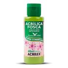 Tinta Acrílica Fosca 60ml Verde Pistache Ref 570 Acrilex