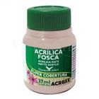 Tinta Acrílica Fosca Acrilex Areia 37ML