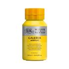 Tinta Acrilica Galeria 500ml Winsor & Newton Escolha a Cor