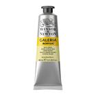 Tinta Acrilica Galeria 60ml Winsor & Newton Escolha a Cor