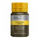 Tinta Acrílica Galeria Winsor & Newton 250 ml 554 Raw Umber