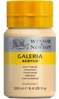 Tinta Acrílica Galeria Winsor Newton 250ml 060 Buff Titanium - Winsor & Newton