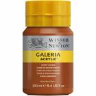 Tinta Acrílica Galeria Winsor & Newton 250ml 074 Burnt Sienna