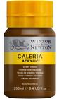 Tinta Acrílica Galeria Winsor & Newton 250ml 076 Burnt Umber