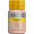 Tinta Acrílica Galeria Winsor & Newton 250ml 257 Flesh Tint