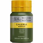 Tinta Acrílica Galeria Winsor & Newton 250ml 447 Olive Green