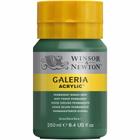 Tinta Acrílica Galeria Winsor & Newton 250ml 482 Permanent Green Deep