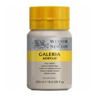 Tinta Acrílica Galeria Winsor & Newton 250ml