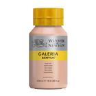 Tinta Acrílica Galeria Winsor & Newton 257 Flesh Tint 500 ml