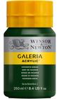 Tinta Acrílica Galeria Winsor Newton 311 Hookers Green 250ml - Winsor & Newton