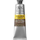 Tinta Acrílica Galeria Winsor & Newton 60ml 554 Raw Umber