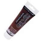 Tinta Acrilica Graduate 120ml Burnt Umber 225 Daler Rowney - CANSON