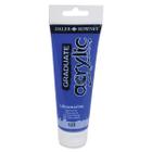 Tinta Acrílica Graduate Daler Rowney 120ml Cor Azul Ultramar 123