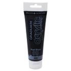 Tinta Acrílica Graduate Daler Rowney 120ml Cor Preto Pérola 032