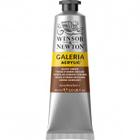 Tinta Acrílica Winsor & Newton Galeria 60ml Burnt Umber