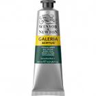 Tinta Acrílica Winsor & Newton Galeria 60ml Phthalo Green - WINSOR NEWTON