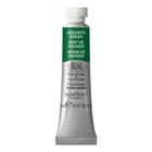 Tinta Aquarela Profissional Winsor 5ml 311 Hooker's Green