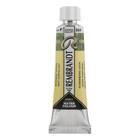 Tinta Aquarela Talens Rembrandt 10ml S3 Escolha A Cor - ROYAL & TALENS