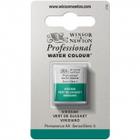 Tinta Aquarela Winsor & Newton Profissional Pastilha S3 692 Viridian - WINSOR NEWTON