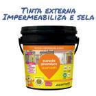 Tinta Branca Parede Premium Quartzolit Para Fachadas 3,6kg