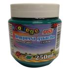 Tinta Guache Escolar 250ml cor Verde Radex