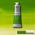 Tinta Oleo Importada Winsor & Newton Bisnaga 37ml