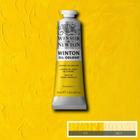 Tinta Oleo Importada Winsor & Newton Bisnaga 37ml