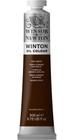 Tinta Óleo Pintura Artística Raw Umber Winton 200ml - Winsor & Newton