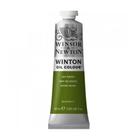 Tinta Óleo Winton 37ml Winsor & Newton 599 Sap Green