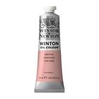 Tinta Oleo Winton 37ml Winsor & Newton Sr1 Escolha Cor