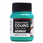 Tinta p/ couro shake paint 37ml acrilex escolha a cor