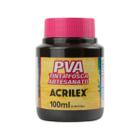 Tinta Pva Fosca 100ml P/ Artesanato Acrilex