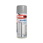 Tinta Spray Alumen 773 Preto Fosco 350ml Colorgin