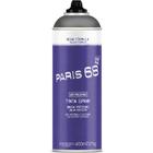 Tinta spray de uso geral 400 ml - Paris 68