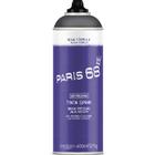 Tinta spray de uso geral 400 ml - Paris 68