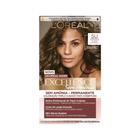 Loreal Kit c/3 Dia Richesse Tonalizante 5.0 Castanho Claro Profundo 50g - Loreal Professionnel - Tonalizante de Cabelo - Magazine Luiza