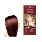 Tintura Surya Brasil Henna Creme Tom de Cabelo Chocolate