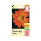 Tithonia / Girassol Mexicano - 500mg de Sementes - ISLA Sementes