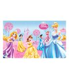 Toalha de Mesa Princesas - 1,2m x 1,8m - Regina