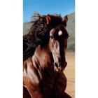 Toalha de Praia Bouton Veludo Estampada Reativo Brown Horse 0,70cm x 1,50cm