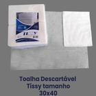 TOALHAS DESCARTAVEIS TISSY 30x40 LIMPEZA AUTOMOTIVA 300 UNI