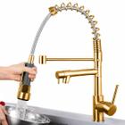 Torneira Cozinha Gourmet Monocomando 50 Cm Spray Extensor Dourado Gold - Swanton