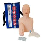 Torso Humano Para Treino De Rcp Adulto E Infantil - Anatomic