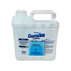 Tratamento para piscina domclor ph - menos 5l