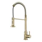 Trefilação de arame galvanizado de aço inoxidável Spring Faucet 304 - J-One