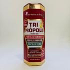 Tri propolis gotas 20ml (vermelha, verde e marrom)