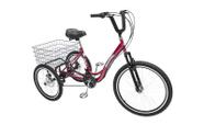 Triciclo Bicicleta Deluxe com: 21 Marchas, Freio Disco e Suspenção - DREAM BIKE