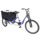 Triciclo De Carga P/ 150kg Multiuso Caixa Fechada Azul